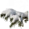 🌲