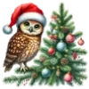 🦉