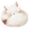 🦊