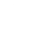 🚩