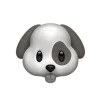 🐶