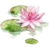 🌸