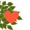 🌿