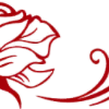 🌹