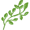 🌿