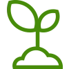 🌱