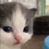 😐