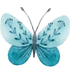 🦋