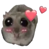 💕