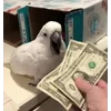 💰