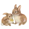 🐰