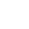 🚩