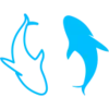 🐟