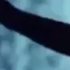 🤩
