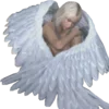 🙏