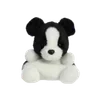 🐶