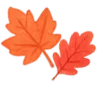 🍁
