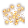 ✨