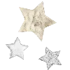 🌟