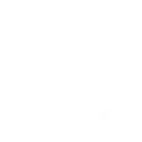 ⚡️
