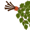 🌿