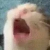 🗣