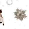 🌟
