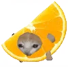 🍊