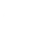 🫐