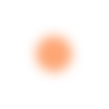 🟡