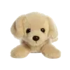 🐶