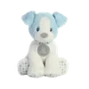 🐶