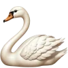 🦢