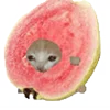 🍉