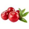🍒