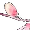 ⭐
