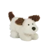 🐶