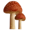 🌟
