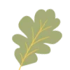 🍃