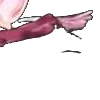 ⭐