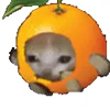 🍊
