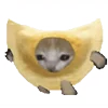 🥠