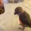 🤭