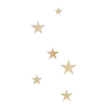 🌟