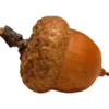 🍠