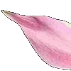 ⭐