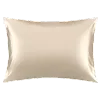 🛌