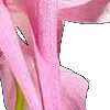 ⭐