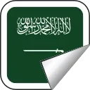 🇸🇦