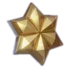 🌟